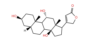 3beta,11alpha,14-Trihydroxy-5beta-20(22)-cardenolide