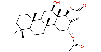 Scalarolbutenolide