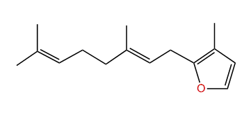 (E)-2-(3,7-Dimethylocta-2,6-dienyl)-3-methylfuran