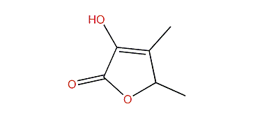 3-Hydroxy-4,5-dimethyl-2(5H)-furanone