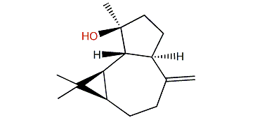 (1a,4b,5b,6a,7a)-10(14)-Aromadendren-4-ol