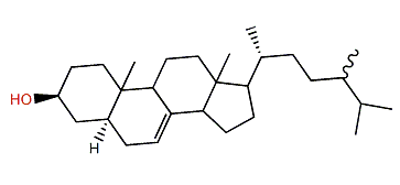 (24xi)-24-Methyl-5a-cholest-7-en-3b-ol