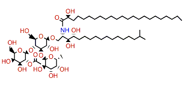 Sulcaceramide