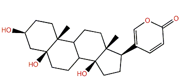3b,5b,14b-Trihydroxybufa-20,22-dienolide