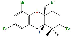 Tetrabromocacoxanthene