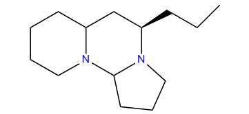 Tetraponerine_3