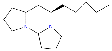 Tetraponerine_5