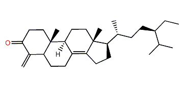 4-Methylenestigmast-8(14)-en-3-one