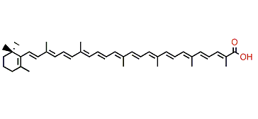 3',4'-Didehydro-beta,psi-caroten-16'-oic acid