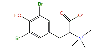 N,N,N-Trimethyl-3,5-dibromotyrosine