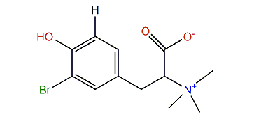 N,N,N-Trimethyl-3-bromotyrosine