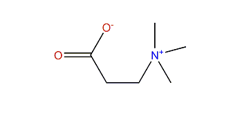 N,N,N-Trimethyl-beta-alanine