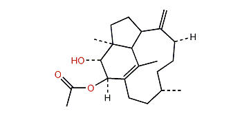 Trinervita-1(15),8(19)-dien-2b,3a-diol-2-O-acetate