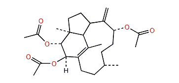 Trinervita-1(15),8(19)-dien-2b,3a,9-triol-2,3,9-O-triacetate
