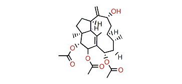 Trinervita-1(15),8(19)-dien-2b,3a,9a,14a-tetraol 2,3,14-O-triacetate