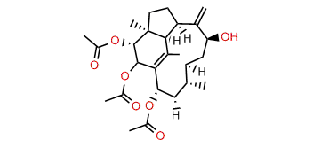 Trinervita-1(15),8(19)-dien-2b,3a,9b,14a-tetrol 2,3,14-O-triacetate