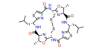 Ulithiacyclamide