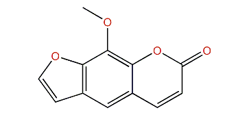 9-Methoxy-7H-furo[3,2-g]chromen-7-one