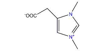 Zwitterion