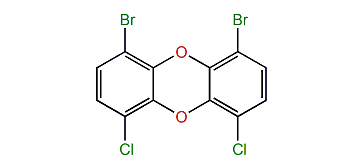 1,9-Dibromo-4,6-dichlorodibenzo-p-dioxin