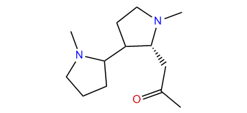 2,3-N-Methylpyrrolidinylhygrine