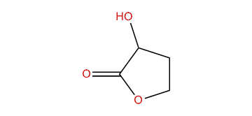 3-Hydroxydihydro-2(3H)-furanone