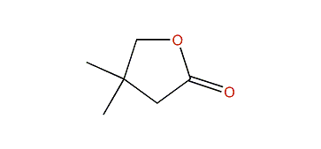 4,4-Dimethyldihydrofuran-2(3H)-one