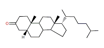 5b-Cholestan-3-one