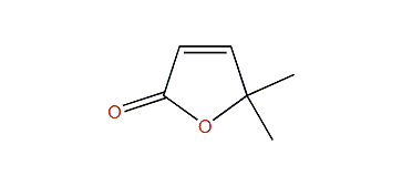 5,5-Dimethylfuran-2(5H)-one