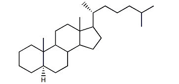 5a-Cholestane