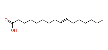 9-Hexadecenoic acid