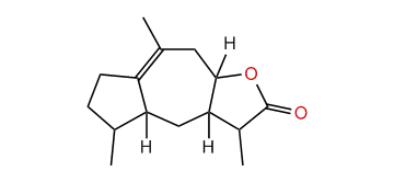 Dihydrocolumellarin