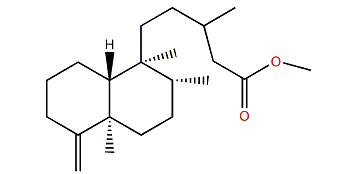 Isoarchidorin